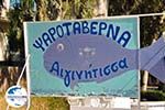 Aeginitissa | Aegina | GriechenlandWeb.de foto 11 - Foto GriechenlandWeb.de