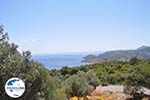 Aussicht über baai Aghia Marina | Aegina | GriechenlandWeb.de - Foto GriechenlandWeb.de
