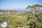 Afaia | Aegina | GriechenlandWeb.de foto 15 - Foto GriechenlandWeb.de