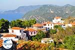 GriechenlandWeb Alonissos Stadt Alonissos - Foto GriechenlandWeb.de