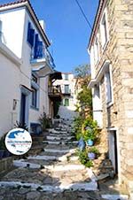 GriechenlandWeb Alonissos Stadt Alonissos - Foto GriechenlandWeb.de
