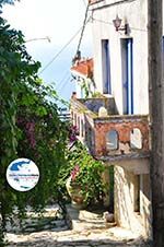 GriechenlandWeb.de Alonissos Stadt (Chora) | Sporaden | GriechenlandWeb.de foto 79 - Foto GriechenlandWeb.de