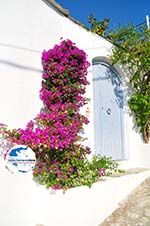 GriechenlandWeb Alonissos Stadt Alonissos - Foto GriechenlandWeb.de