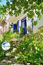 GriechenlandWeb.de Alonissos Stadt (Chora) | Sporaden | GriechenlandWeb.de foto 98 - Foto GriechenlandWeb.de