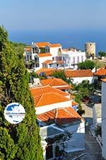 Alonissos Stadt (Chora) | Sporaden | GriechenlandWeb.de foto 101 - Foto GriechenlandWeb.de