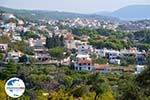 Alonissos Stadt (Chora) | Sporaden | GriechenlandWeb.de foto 118 - Foto GriechenlandWeb.de