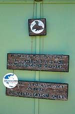 GriechenlandWeb MOM, bescherming Monachus-Monachus zeehonden Alonissos | Sporaden foto 9 - Foto GriechenlandWeb.de