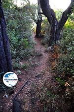 GriechenlandWeb.de Wandelen bossen Agioi Anargiri | Alonissos Sporaden | GriechenlandWeb.de - Foto GriechenlandWeb.de