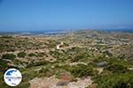 GriechenlandWeb.de Arkesini Amorgos - Insel Amorgos - Kykladen foto 161 - Foto GriechenlandWeb.de