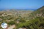 GriechenlandWeb.de Arkesini Amorgos - Insel Amorgos - Kykladen foto 162 - Foto GriechenlandWeb.de