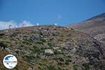 GriechenlandWeb.de Molens Amorgos Stadt (Chora) - Insel Amorgos - Kykladen foto 200 - Foto GriechenlandWeb.de