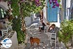 GriechenlandWeb.de Amorgos Stadt (Chora) - Insel Amorgos - Kykladen foto 214 - Foto GriechenlandWeb.de