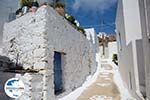 GriechenlandWeb.de Tholaria Amorgos - Insel Amorgos - Kykladen Griechenland foto 286 - Foto GriechenlandWeb.de