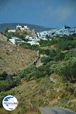 GriechenlandWeb Langada Amorgos - Insel Amorgos - Kykladen foto 356 - Foto GriechenlandWeb.de