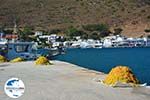 GriechenlandWeb Katapola Amorgos - Insel Amorgos - Kykladen Griechenland foto 407 - Foto GriechenlandWeb.de