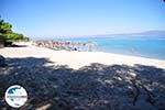 GriechenlandWeb.de Golden Beach Pefkochori | Kassandra Chalkidiki | GriechenlandWeb.de foto 5 - Foto GriechenlandWeb.de