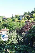 GriechenlandWeb.de Sithonia Chalkidiki - Foto GriechenlandWeb.de