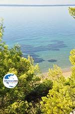 GriechenlandWeb.de Zwischen Psakoudia und Gerakini | Sithonia Chalkidiki | GriechenlandWeb.de foto 8 - Foto GriechenlandWeb.de