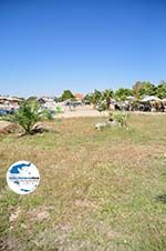 GriechenlandWeb.de Zwischen Psakoudia und Gerakini | Sithonia Chalkidiki | GriechenlandWeb.de foto 17 - Foto GriechenlandWeb.de