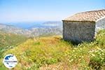 GriechenlandWeb Othos | Insel Karpathos | GriechenlandWeb.de foto 004 - Foto GriechenlandWeb.de