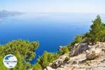 GriechenlandWeb Apela Beach (Apella) | Insel Karpathos | GriechenlandWeb.de foto 002 - Foto GriechenlandWeb.de