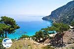 GriechenlandWeb Apela Beach (Apella) | Insel Karpathos | GriechenlandWeb.de foto 006 - Foto GriechenlandWeb.de