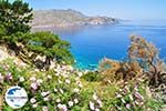 GriechenlandWeb Apela Beach (Apella) | Insel Karpathos | GriechenlandWeb.de foto 009 - Foto GriechenlandWeb.de