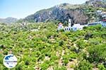 GriechenlandWeb Mesochori | Insel Karpathos | GriechenlandWeb.de foto 021 - Foto GriechenlandWeb.de