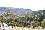 Natuur onderweg naar Olympos | Insel Karpathos foto 003 - Foto GriechenlandWeb.de