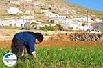 Foto Karpathos Dodekanes GriechenlandWeb.de - Foto GriechenlandWeb.de