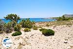 GriechenlandWeb.de Diakofti beach | Strände Karpathos | GriechenlandWeb.de foto 002 - Foto GriechenlandWeb.de