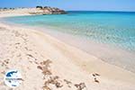GriechenlandWeb Diakofti beach | Strände Karpathos | GriechenlandWeb.de foto 007 - Foto GriechenlandWeb.de