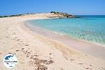 GriechenlandWeb Diakofti beach | Strände Karpathos | GriechenlandWeb.de foto 009 - Foto GriechenlandWeb.de