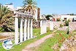 GriechenlandWeb Archäologische Ruinen Kos Stadt | Insel Kos | Griechenland foto 4 - Foto GriechenlandWeb.de