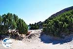 GriechenlandWeb.de Paradise beach Kos - Foto GriechenlandWeb.de