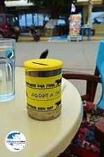 GriechenlandWeb Aghia Pelagia | Kythira | GriechenlandWeb.de foto 26 - Foto GriechenlandWeb.de