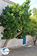 GriechenlandWeb Kythira Stadt Kythira - Foto GriechenlandWeb.de