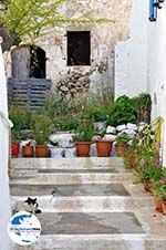 Foto   GriechenlandWeb.de - Foto GriechenlandWeb.de