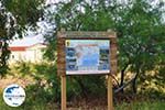 Birdwatching in Lesbos - Foto GriechenlandWeb.de