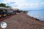 Terrasjes aan het Strandt van Skala Kallonis - Foto GriechenlandWeb.de