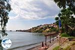 Foto Lesbos Ägäische Inseln GriechenlandWeb - Foto GriechenlandWeb.de