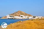 GriechenlandWeb Kalafatis | Mykonos | Griechenland - GriechenlandWeb.de foto 6 - Foto GriechenlandWeb.de