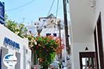 GriechenlandWeb.de Mykonos Stadt Mykonos - Foto GriechenlandWeb.de