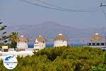 GriechenlandWeb Mykonos Stadt (Chora) | Griechenland | GriechenlandWeb.de foto 82 - Foto GriechenlandWeb.de