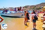 Foto Mykonos Kykladen GriechenlandWeb - Foto GriechenlandWeb.de