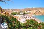 Foto Mykonos Kykladen GriechenlandWeb - Foto GriechenlandWeb.de