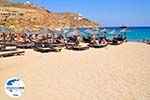 GriechenlandWeb.de Super Paradise Strandt | Mykonos | Griechenland foto 23 - Foto GriechenlandWeb.de