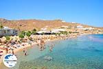 Paradise Beach Mykonos (Kalamopodi) | Griechenland | GriechenlandWeb.de foto 18 - Foto GriechenlandWeb.de