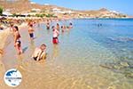 GriechenlandWeb.de Paradise Beach Mykonos (Kalamopodi) | Griechenland | GriechenlandWeb.de foto 19 - Foto GriechenlandWeb.de