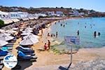 Foto Mykonos Kykladen GriechenlandWeb - Foto GriechenlandWeb.de